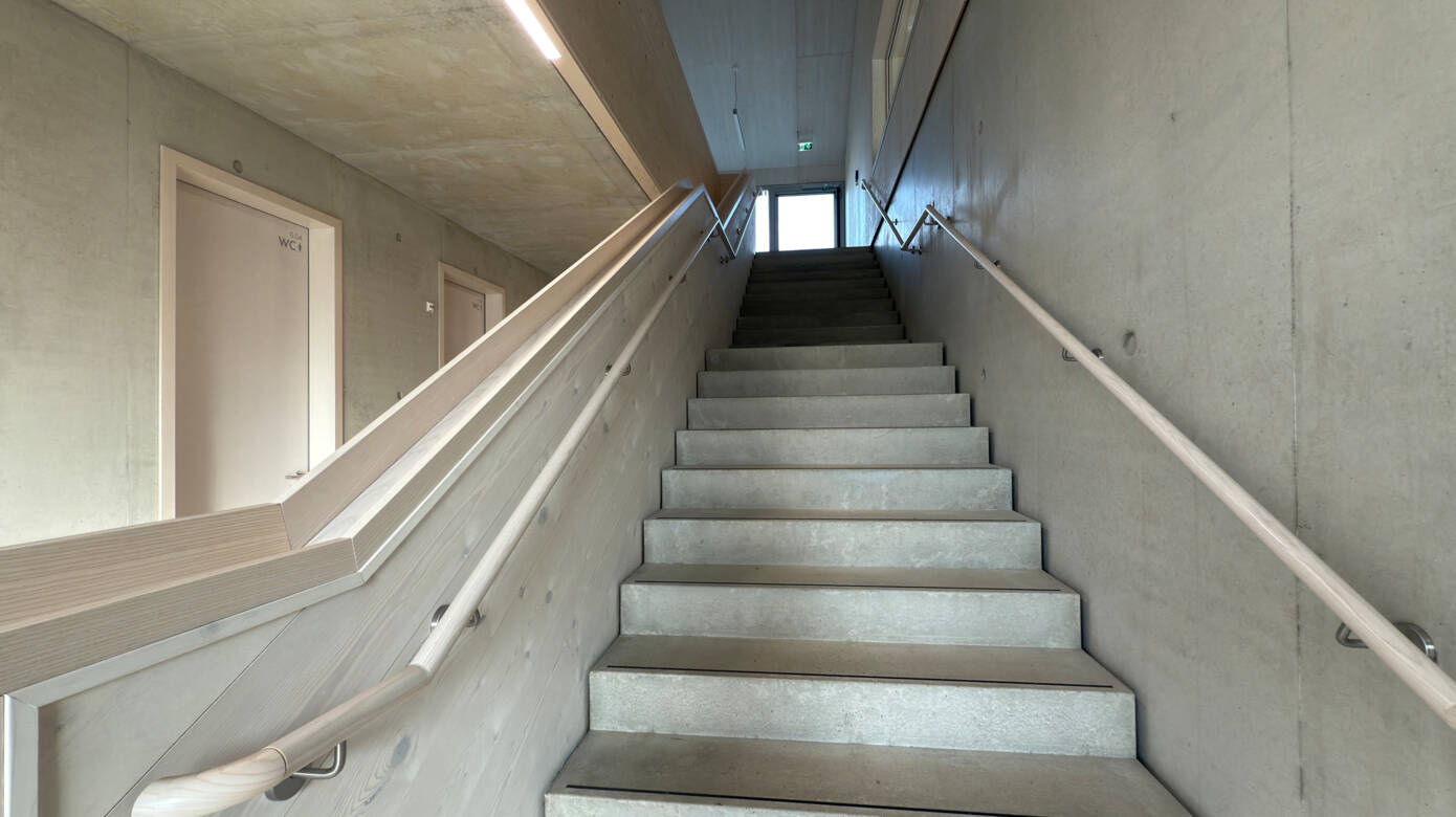 holzbau-baumaeckerhalle-bihlafingen-6