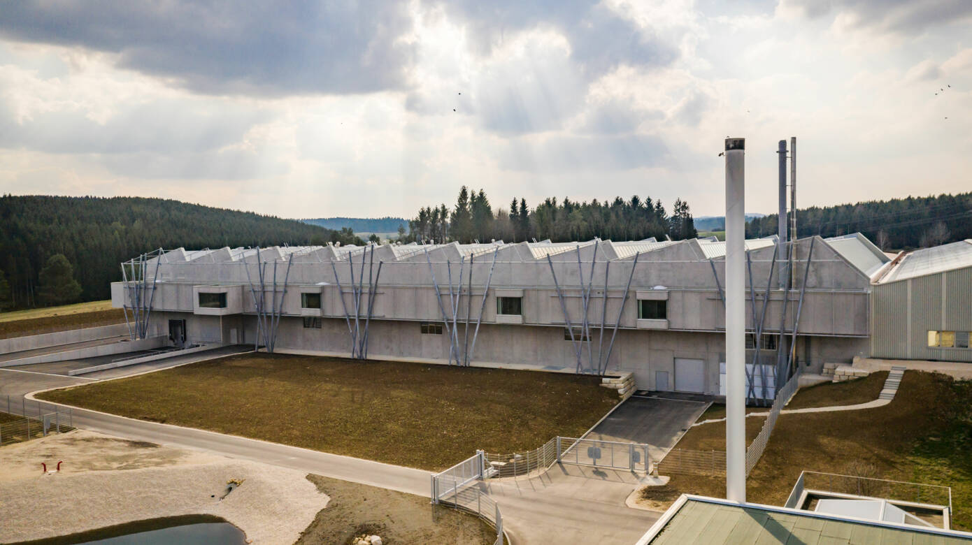 a-0150-DJI_0775-ё(ingorack.com)_web